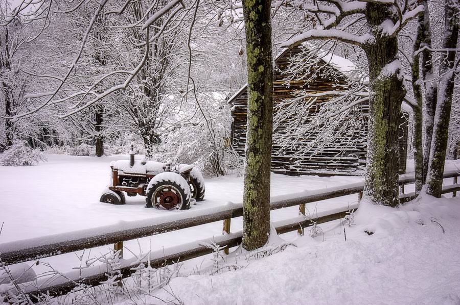 Backyard Parking