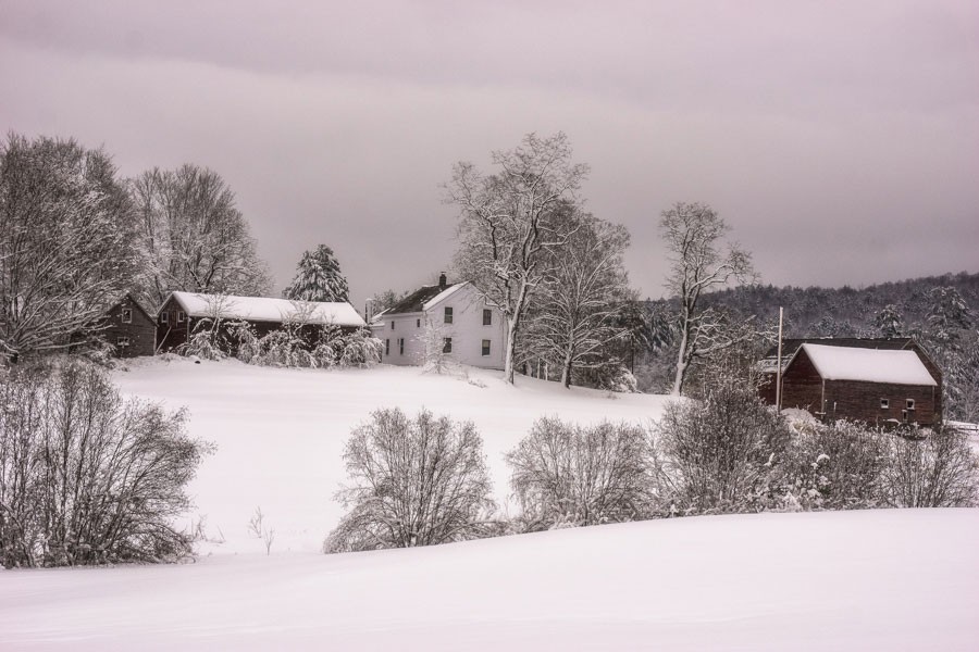 Country Homestead