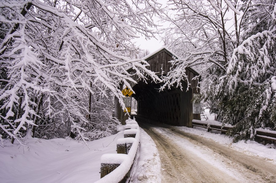 Through the Snow