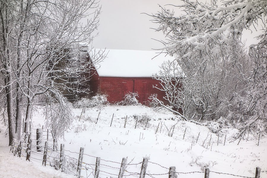 Yule Barn