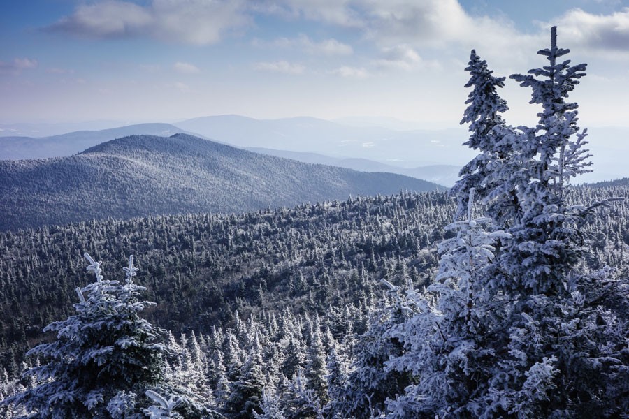 Winter Blanket