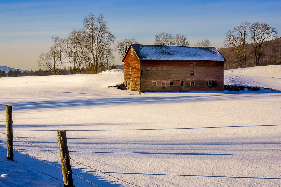 Winter Shadows