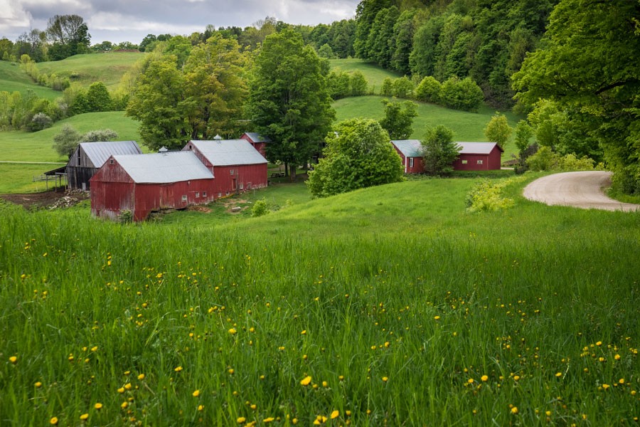 Jenne Farm: Spring