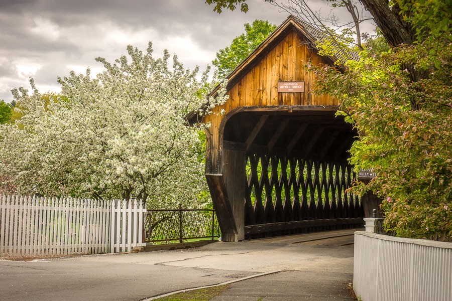 Middle Bridge: Spring