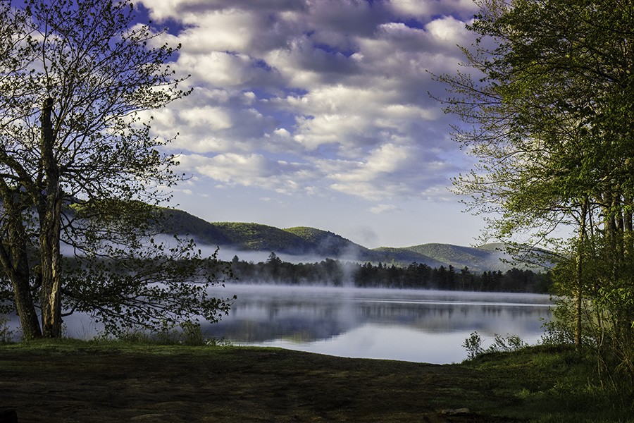 Spring at Little Pond