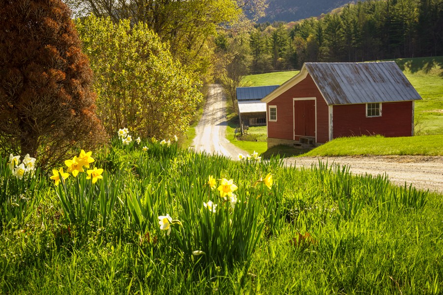 Spring in Vermont