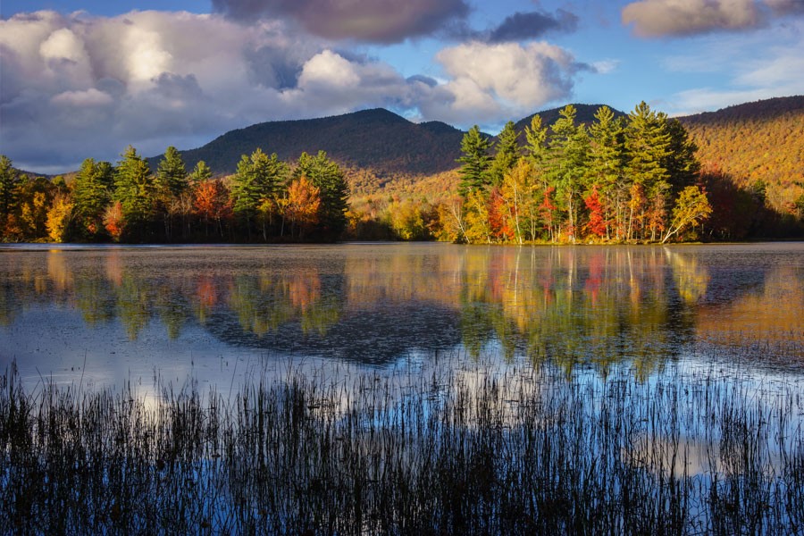 Lefferts Pond