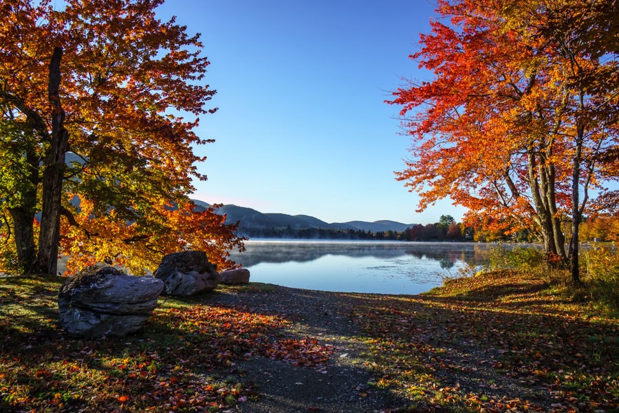 Fall at Little Pond